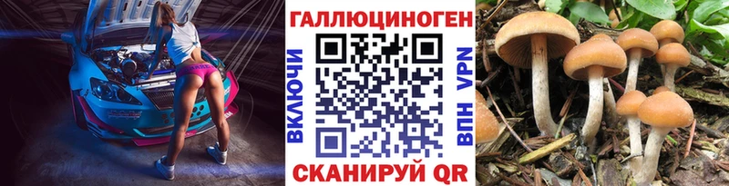 где продают   Шахунья  shop телеграм  Псилоцибиновые грибы Magic Shrooms 